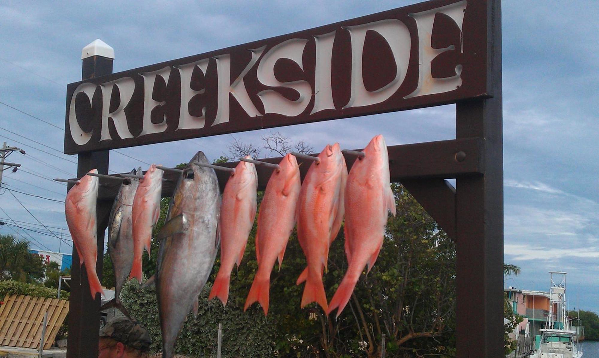 Creekside Inn Islamorada Tavernier المظهر الخارجي الصورة