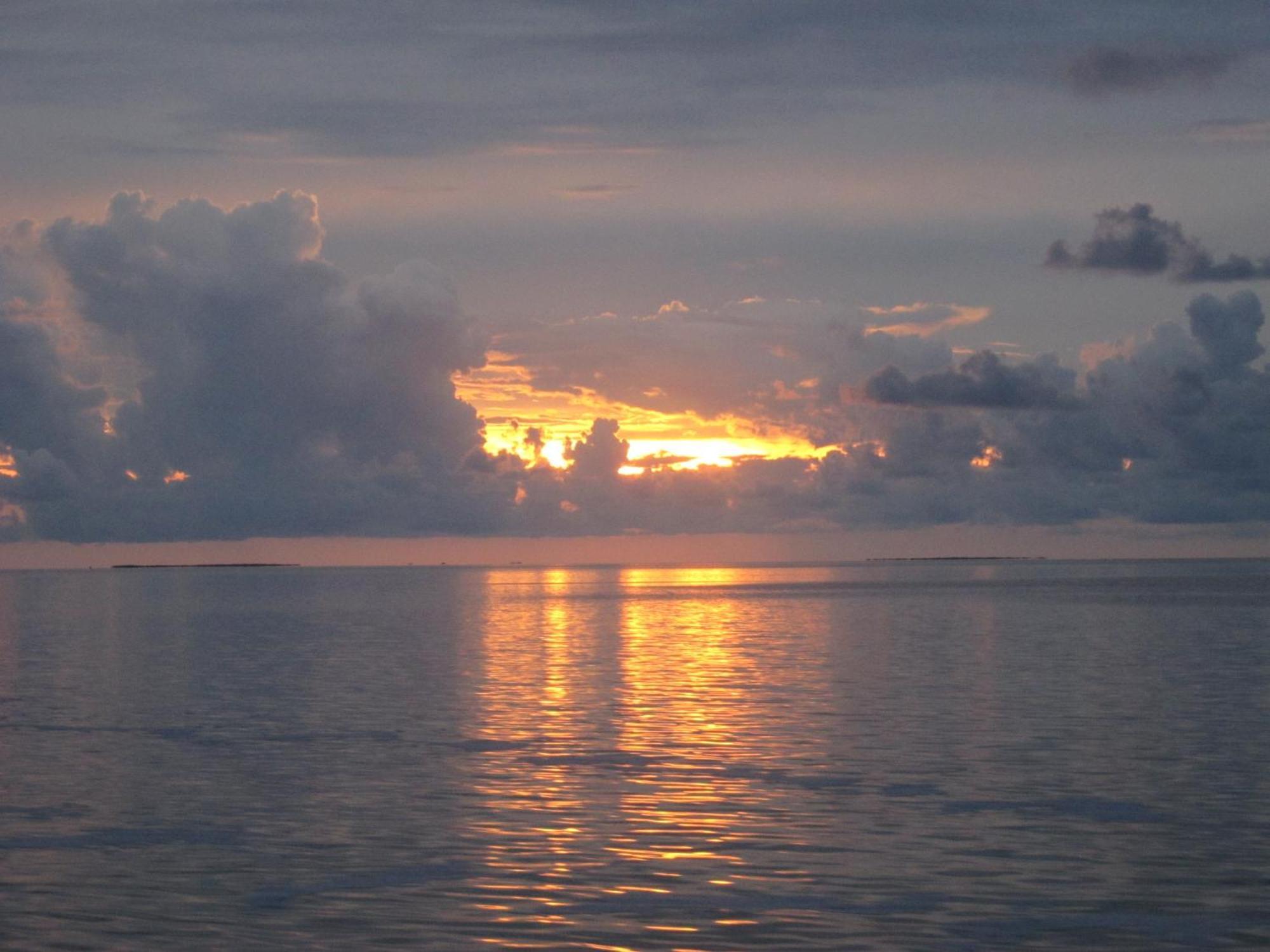 Creekside Inn Islamorada Tavernier المظهر الخارجي الصورة