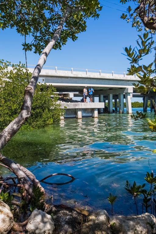 Creekside Inn Islamorada Tavernier المظهر الخارجي الصورة
